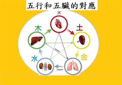 陰陽五行學說